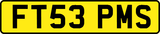 FT53PMS