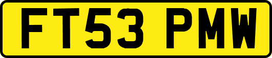 FT53PMW