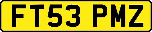 FT53PMZ