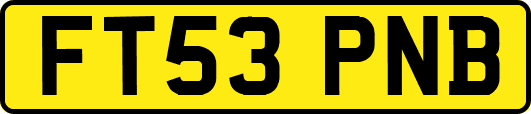 FT53PNB