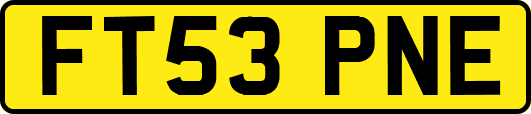 FT53PNE