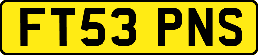 FT53PNS