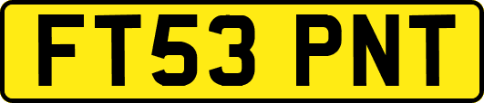 FT53PNT