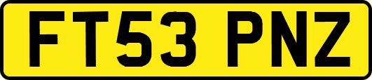 FT53PNZ