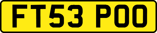 FT53POO
