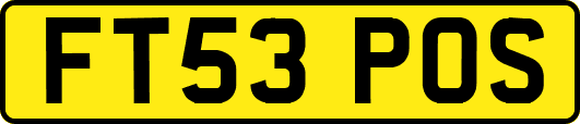 FT53POS