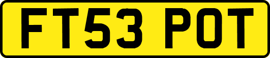 FT53POT