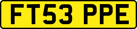 FT53PPE