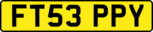 FT53PPY