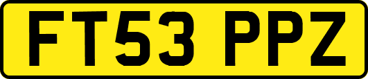 FT53PPZ
