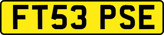 FT53PSE