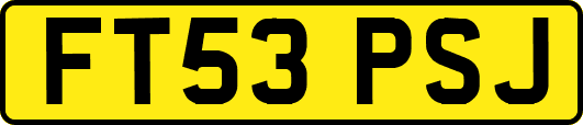 FT53PSJ