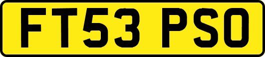 FT53PSO