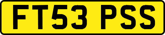 FT53PSS