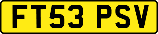FT53PSV
