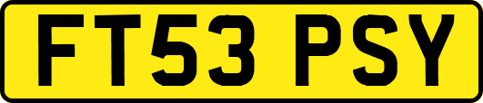 FT53PSY