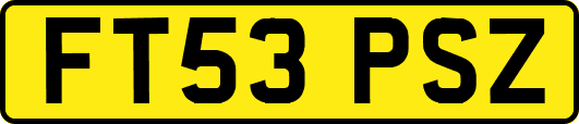 FT53PSZ