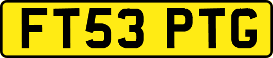 FT53PTG