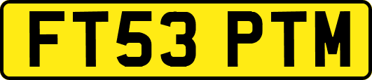 FT53PTM