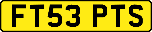 FT53PTS