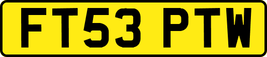 FT53PTW