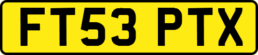 FT53PTX