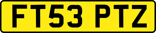 FT53PTZ