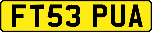 FT53PUA