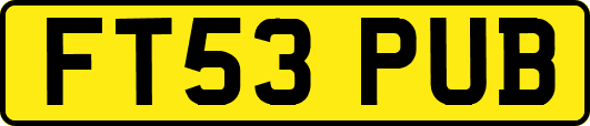 FT53PUB
