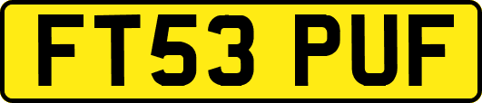 FT53PUF