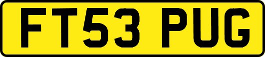 FT53PUG