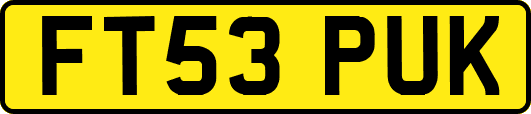 FT53PUK