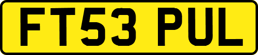 FT53PUL