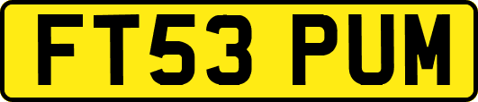 FT53PUM