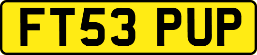 FT53PUP