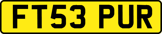 FT53PUR