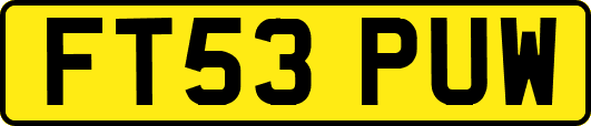 FT53PUW