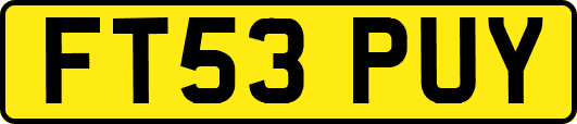 FT53PUY