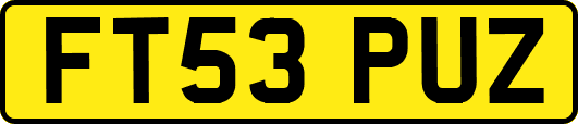 FT53PUZ