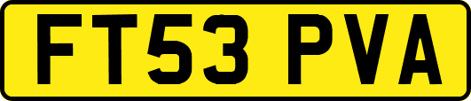 FT53PVA