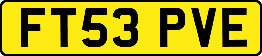 FT53PVE