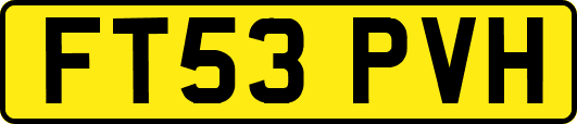 FT53PVH
