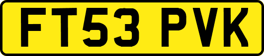 FT53PVK