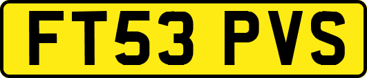 FT53PVS