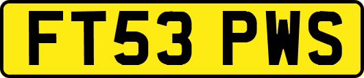 FT53PWS