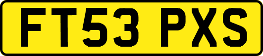 FT53PXS