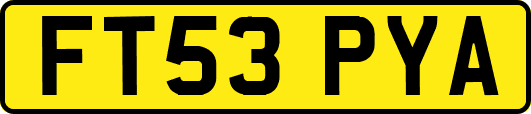 FT53PYA
