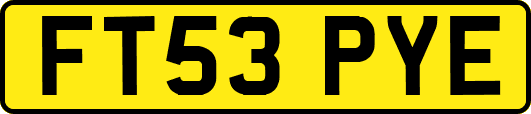 FT53PYE