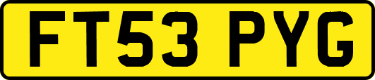 FT53PYG