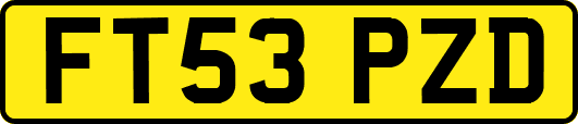 FT53PZD